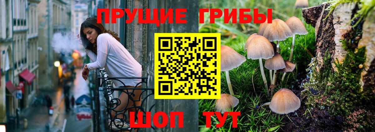 Псилоцибиновые грибы Cubensis  Псилоцибиновые грибы Psilocybe  Вход с VPN  Будённовск 